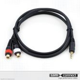 2x RCA zu 3.5mm kleine Klinke Kabel, 0.3 m, f/m