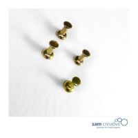 Set Pinnwand Pins Gold, set 50 St.