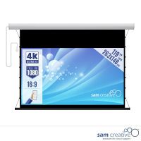 Projektionsleinwand Motor 4K|UHD 119" 263x148 cm weiß Metallgehäuse