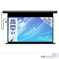 Projektionsleinwand Motor 4K|UHD 119" 263x148 cm schwarz Metallgehäuse